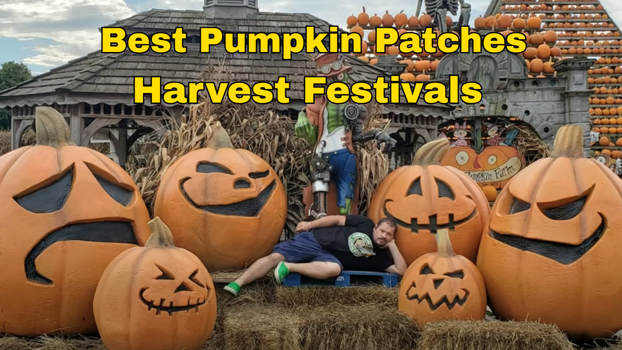 Best Pumpkin Patches And Harvest Festivals In America