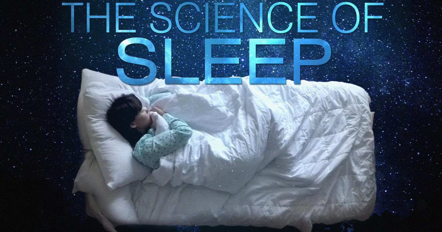 the science of sleep